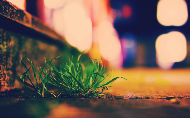 一张美味的图片 &middot; #1132