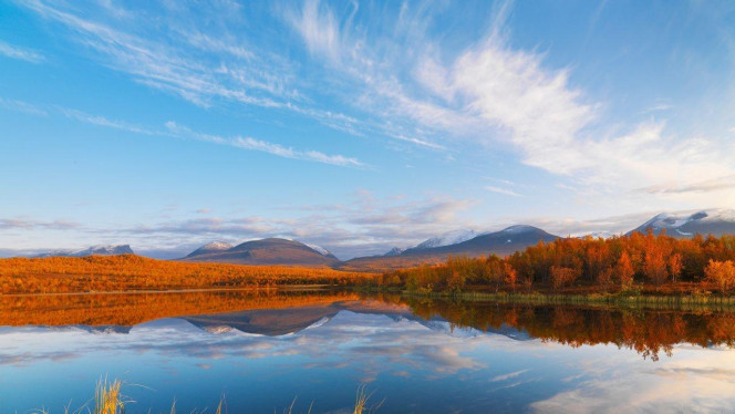 一张美味的图片 &middot; #3309