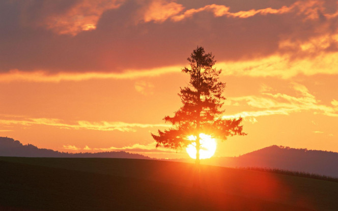 一张美味的图片 &middot; #2179