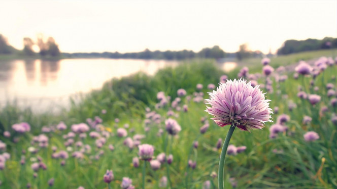 一张美味的图片 &middot; #3471