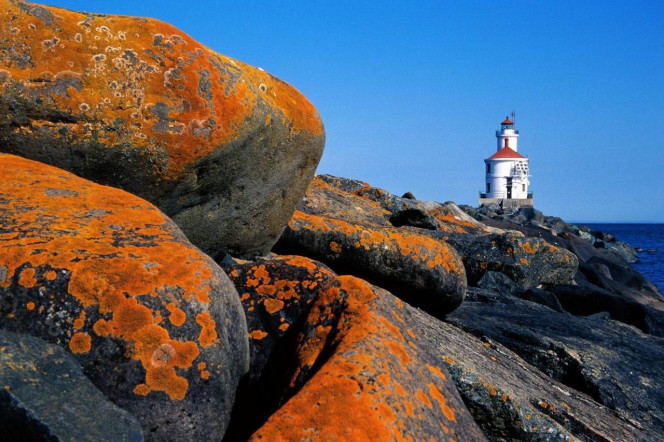 一张美味的图片 &middot; #1080