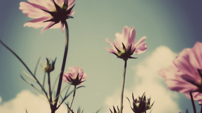 一张美味的图片 &middot; #3458