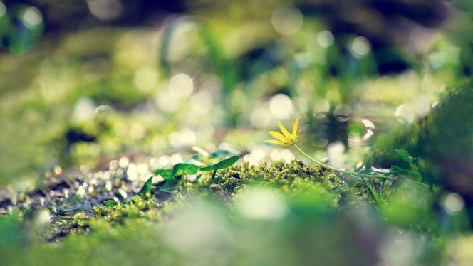 一张美味的图片 &middot; #3450