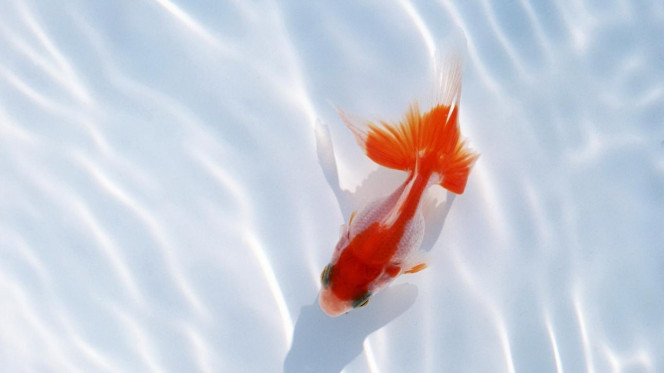 一张美味的图片 &middot; #2821