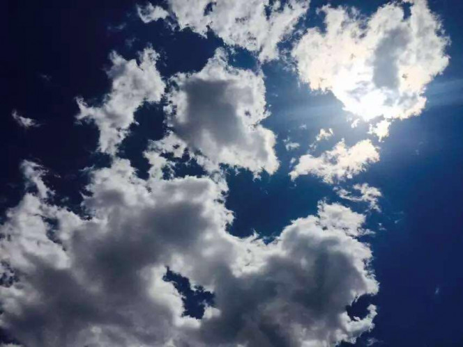 一张美味的图片 &middot; #5165