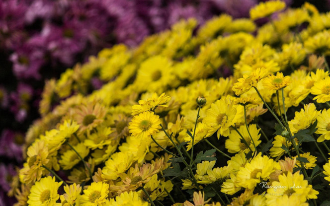 一张美味的图片 &middot; #2203