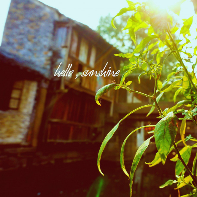 一张美味的图片 &middot; #331