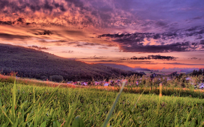 一张美味的图片 &middot; #1302