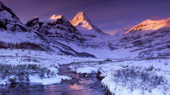 一张美味的图片 &middot; #2465