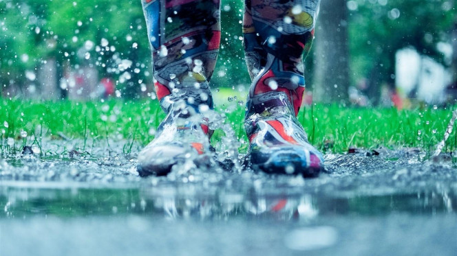 一张美味的图片 &middot; #2765