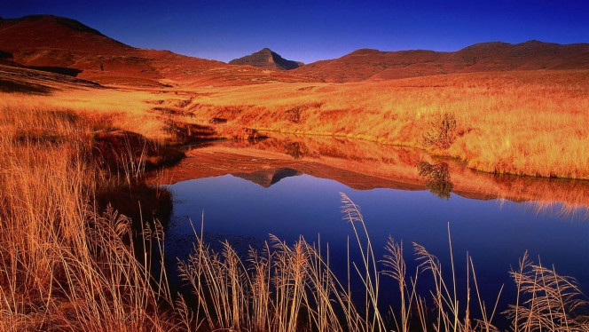 一张美味的图片 &middot; #3311