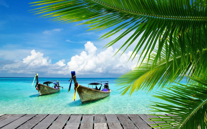 一张美味的图片 &middot; #3260