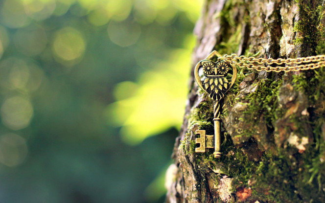 一张美味的图片 &middot; #3358