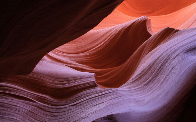 一张美味的图片 &middot; #2155