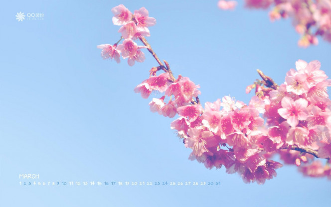 一张美味的图片 &middot; #1531