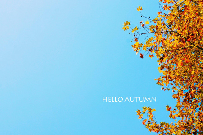 一张美味的图片 &middot; #328