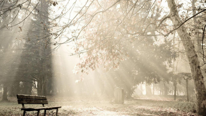 一张美味的图片 &middot; #2429