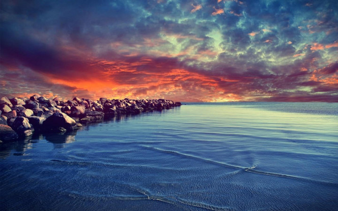 一张美味的图片 &middot; #2702