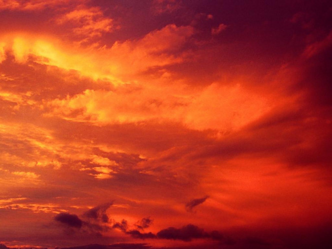 一张美味的图片 &middot; #988