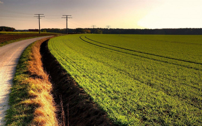 一张美味的图片 &middot; #2661