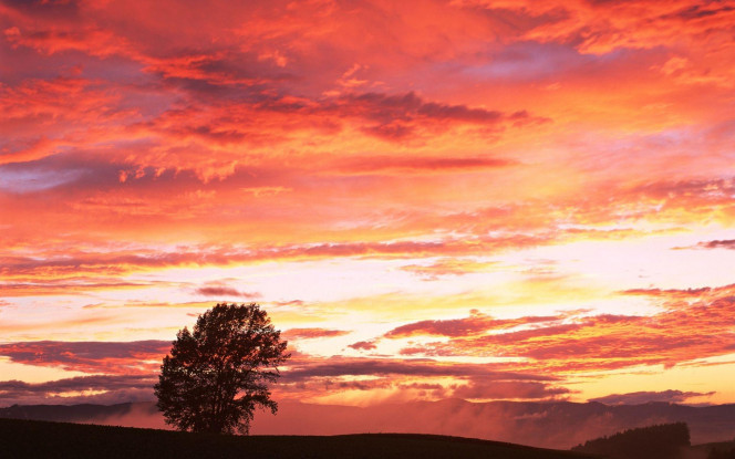 一张美味的图片 &middot; #2213