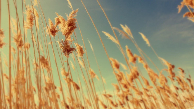 一张美味的图片 &middot; #2304