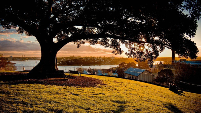 一张美味的图片 &middot; #2933