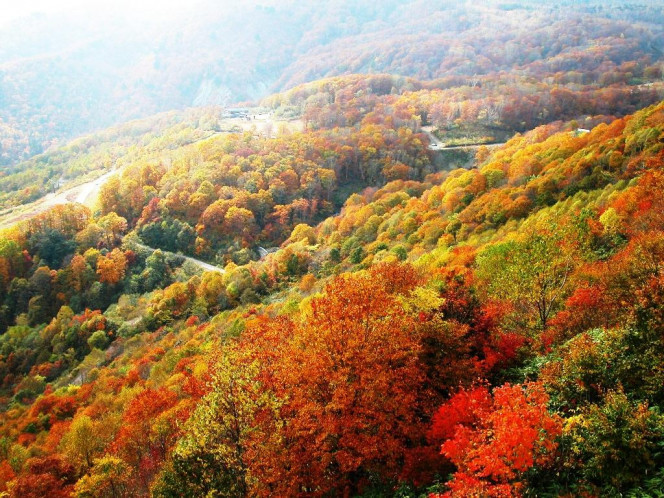 一张美味的图片 &middot; #1009