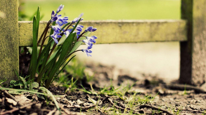 一张美味的图片 &middot; #2723