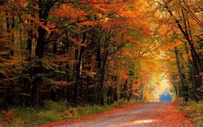 一张美味的图片 &middot; #4036