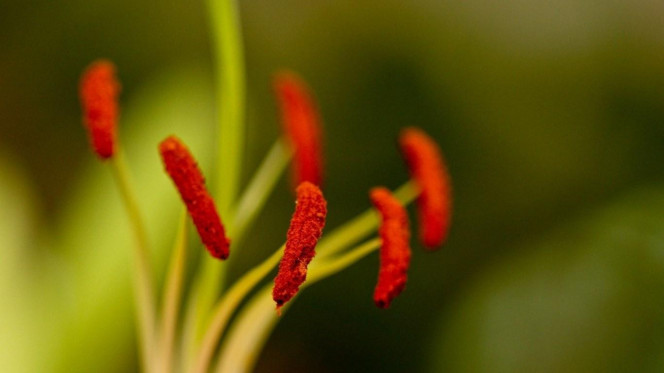 一张美味的图片 &middot; #2649