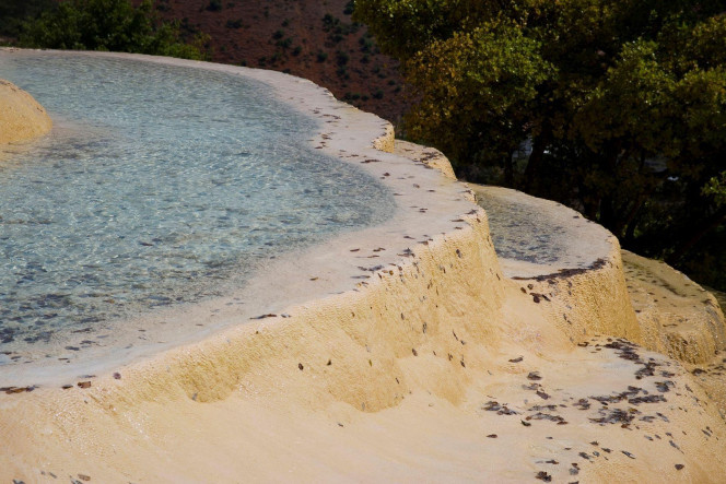 一张美味的图片 &middot; #2128