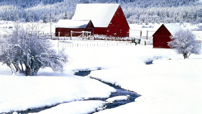 一张美味的图片 &middot; #2463