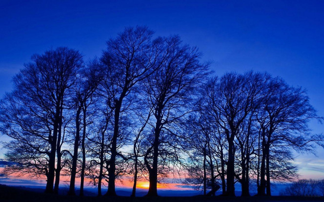 一张美味的图片 &middot; #2031