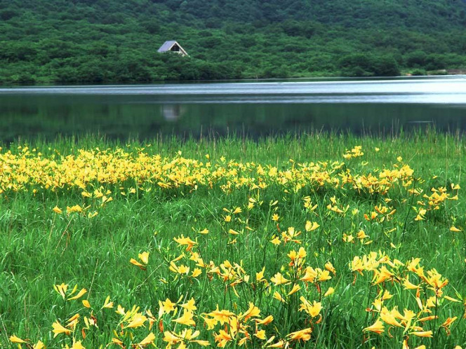 一张美味的图片 &middot; #987