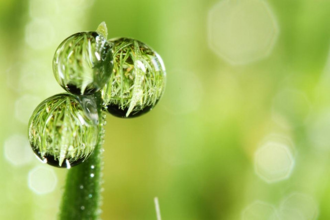 一张美味的图片 &middot; #2854