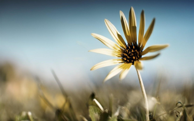 一张美味的图片 &middot; #2675