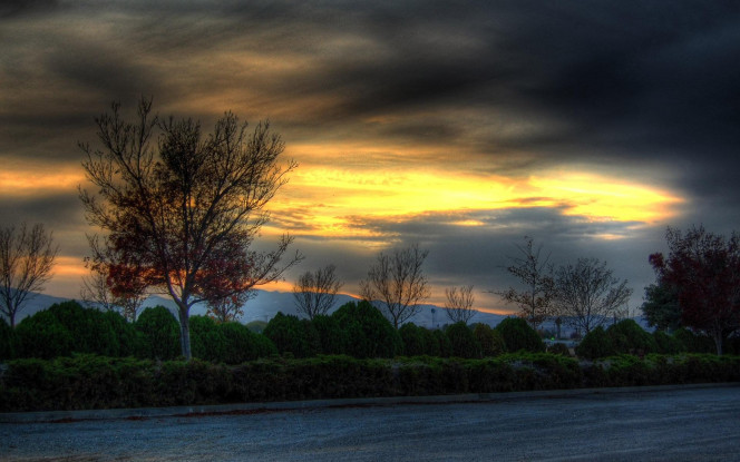 一张美味的图片 &middot; #1303