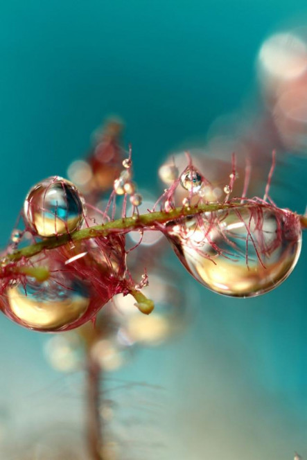 一张美味的图片 &middot; #2877