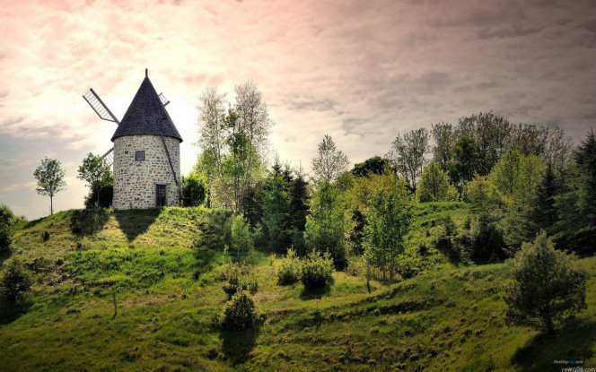 一张美味的图片 &middot; #3047