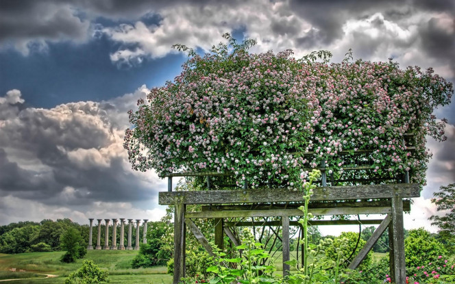 一张美味的图片 &middot; #1015