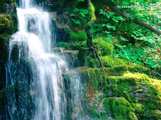 一张美味的图片 &middot; #904