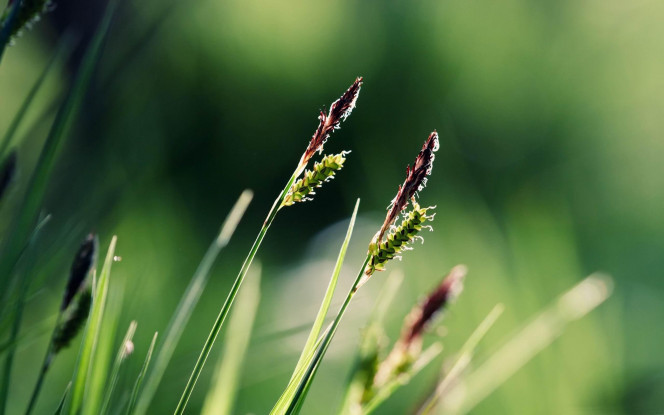 A Delicious image · #1717